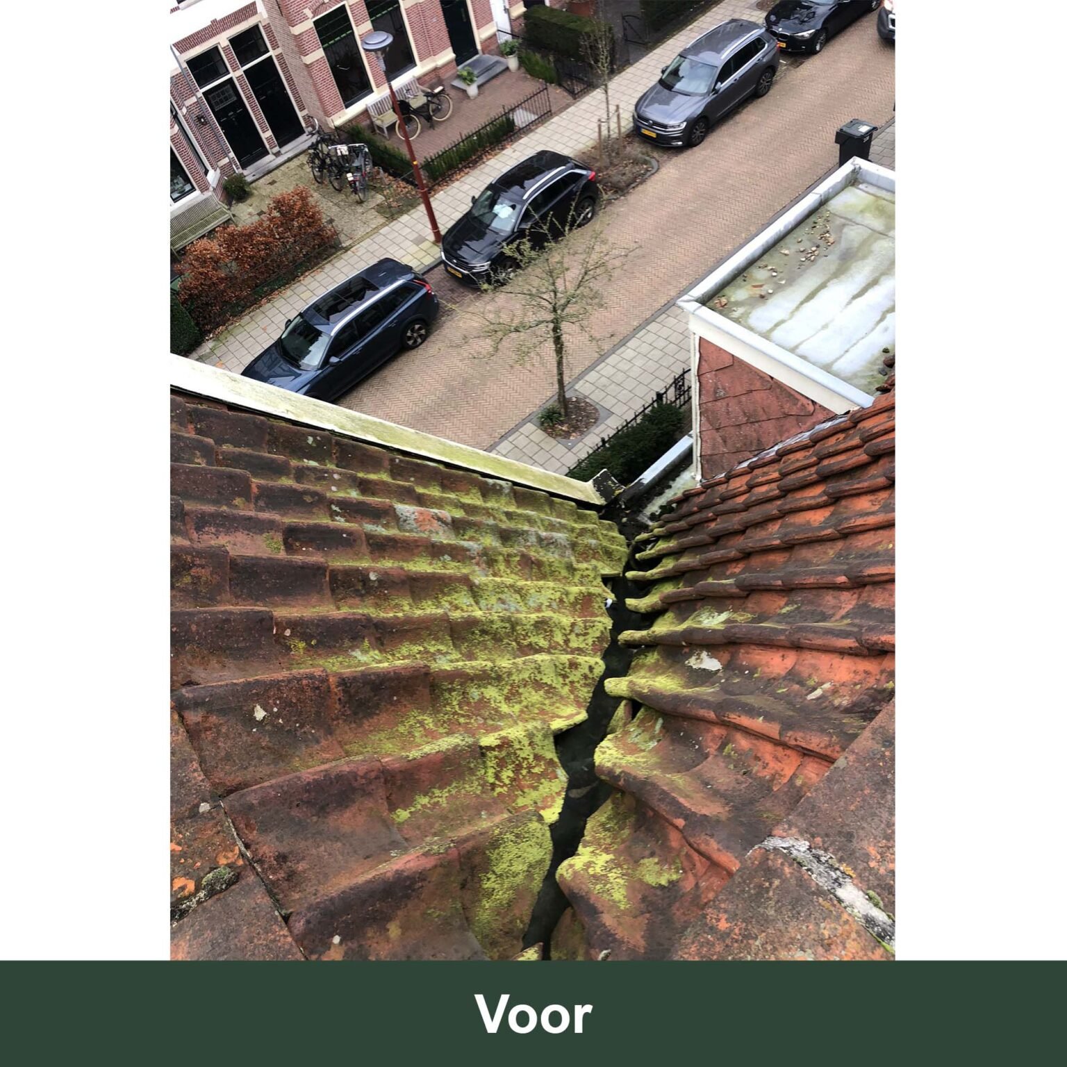 Voor dak 2 1536x1536